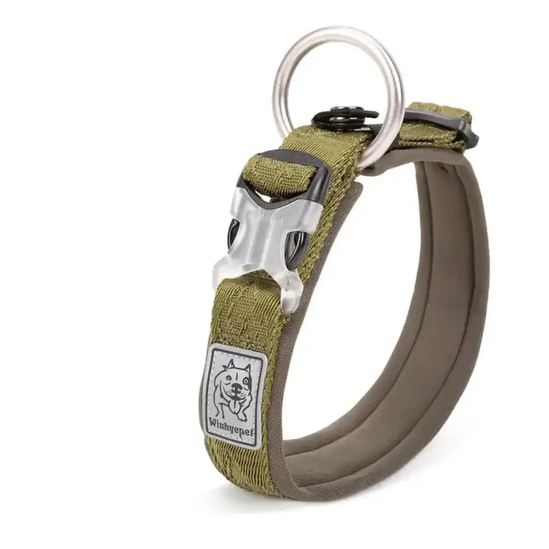 Collier pour chien rembourré avec boucle Duraflex, confort optimal, néoprène SBR