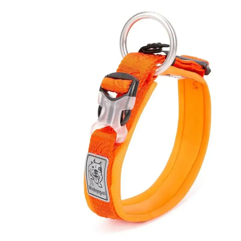 Collier pour chien rembourré avec boucle Duraflex, confort optimal, néoprène SBR