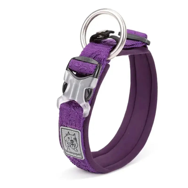 Collier pour chien rembourré avec boucle Duraflex, confort optimal, néoprène SBR