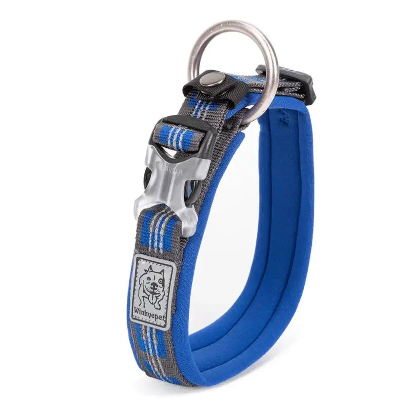 Collier pour chien Truelove rembourré en néoprène ultra doux avec boucle duraflex et D-ring
