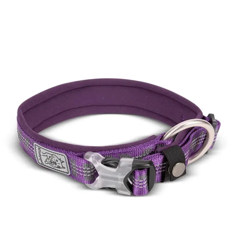 Collier pour chien Truelove en néoprène ultra doux, boucle Duraflex, reflet, rembourré