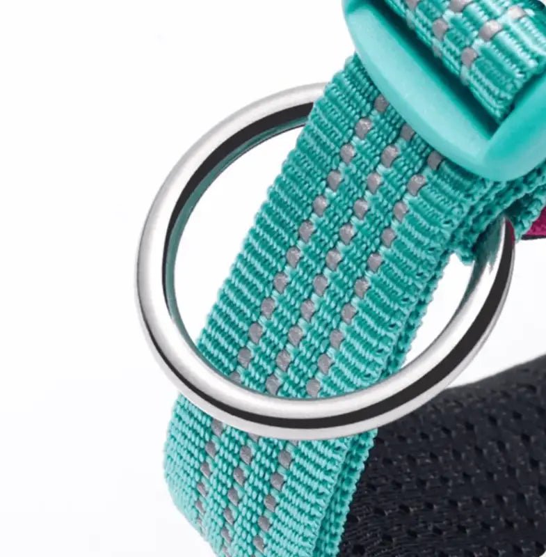 Collier chien Truelove en nylon Cordura vert olive avec patch personnalisable et couture réfléchissante