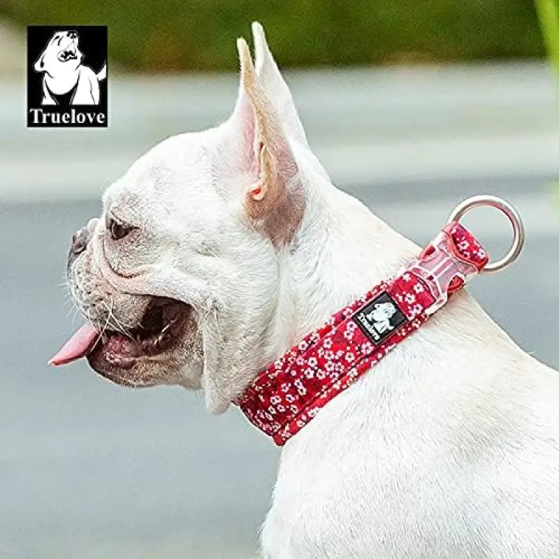 Collier chien motif floral rouge coquelicot en coton duraflex ultra-résistante