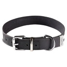 Collier pour chien Truelove en cuir noir avec bande réfléchissante et zinc anti-rouille