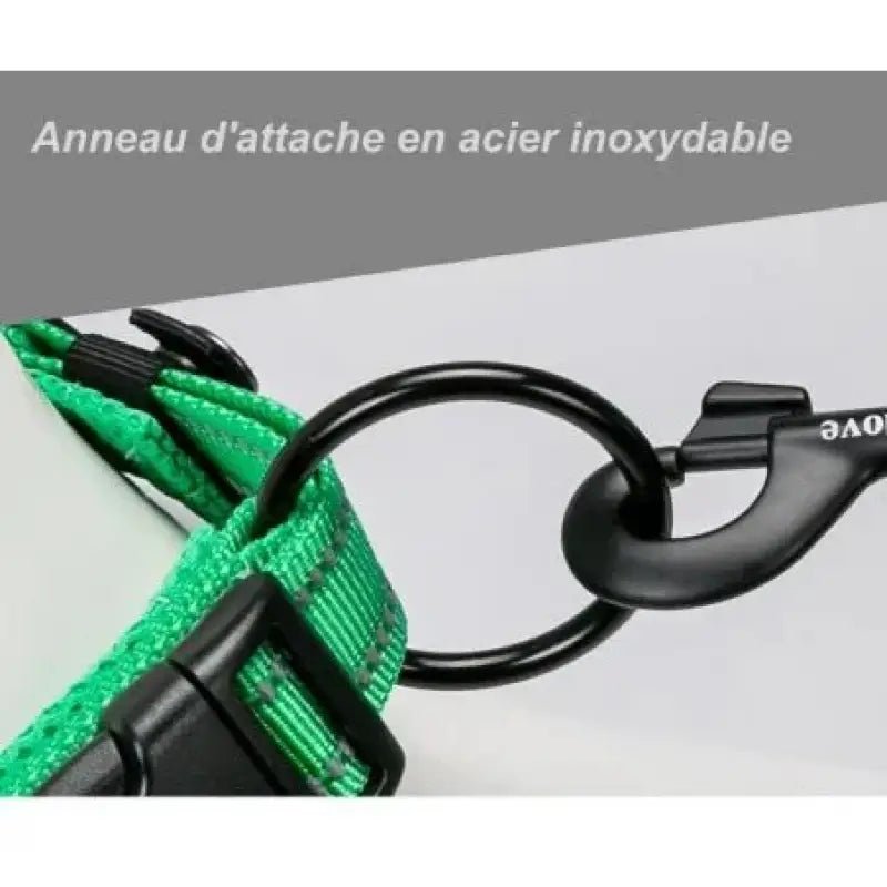 Collier pour chien vert Truelove rembourré avec anneau renforcé et attache solide