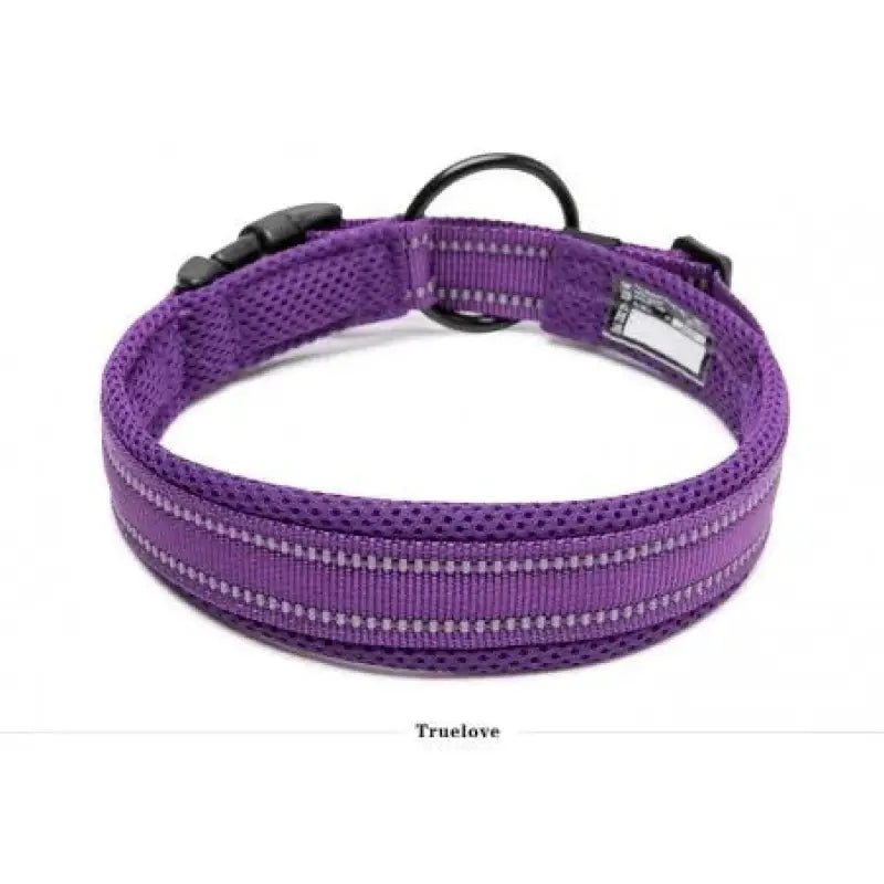 Collier chien Truelove violet en nylon rembourré avec bandes réfléchissantes et boucle noire