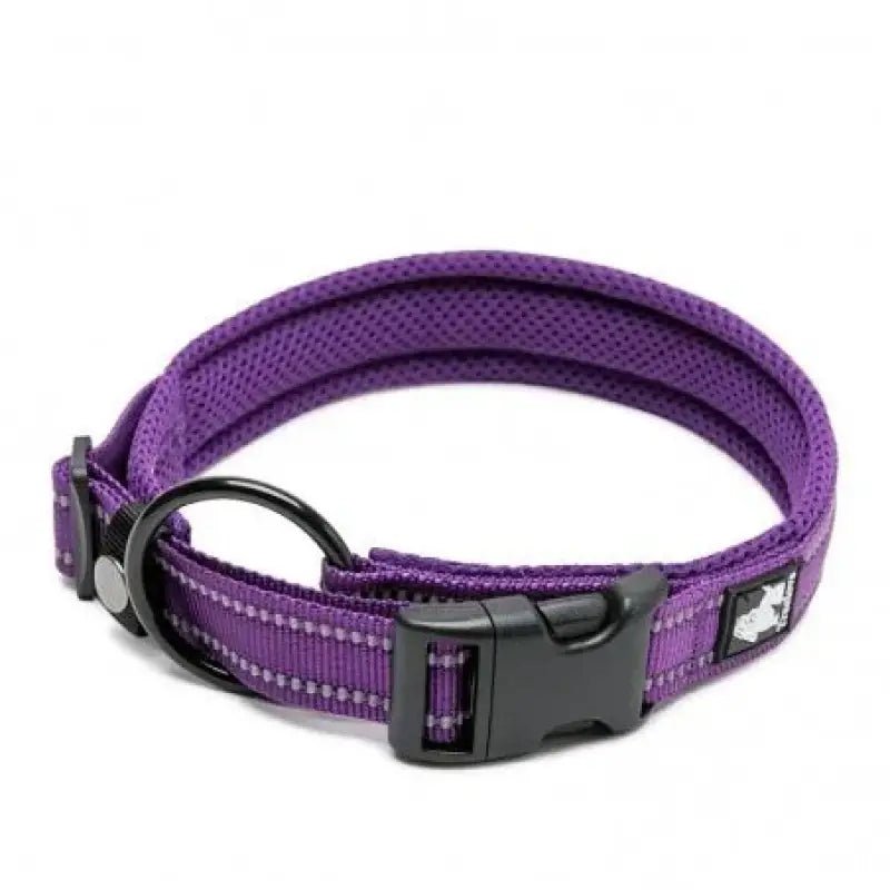Collier chien Truelove violet rembourré avec bandes réfléchissantes et boucle noire