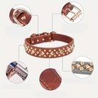 Collier clouté pour chien style vintage en simili cuir avec studs dorés robust et élégant