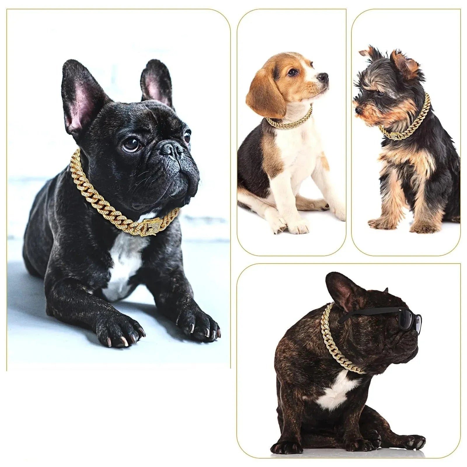 Dogs portant un collier cubain avec strass, convient aux amateurs de style trendy