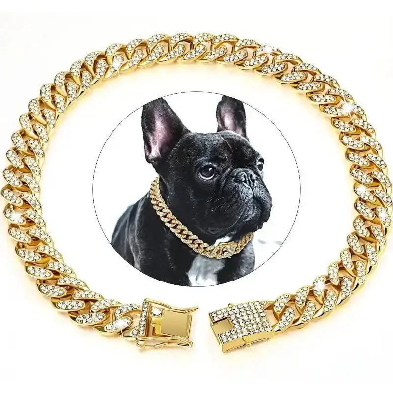 Collier chaîne cubain pour chien en acier inox luxe avec strass brillants et or