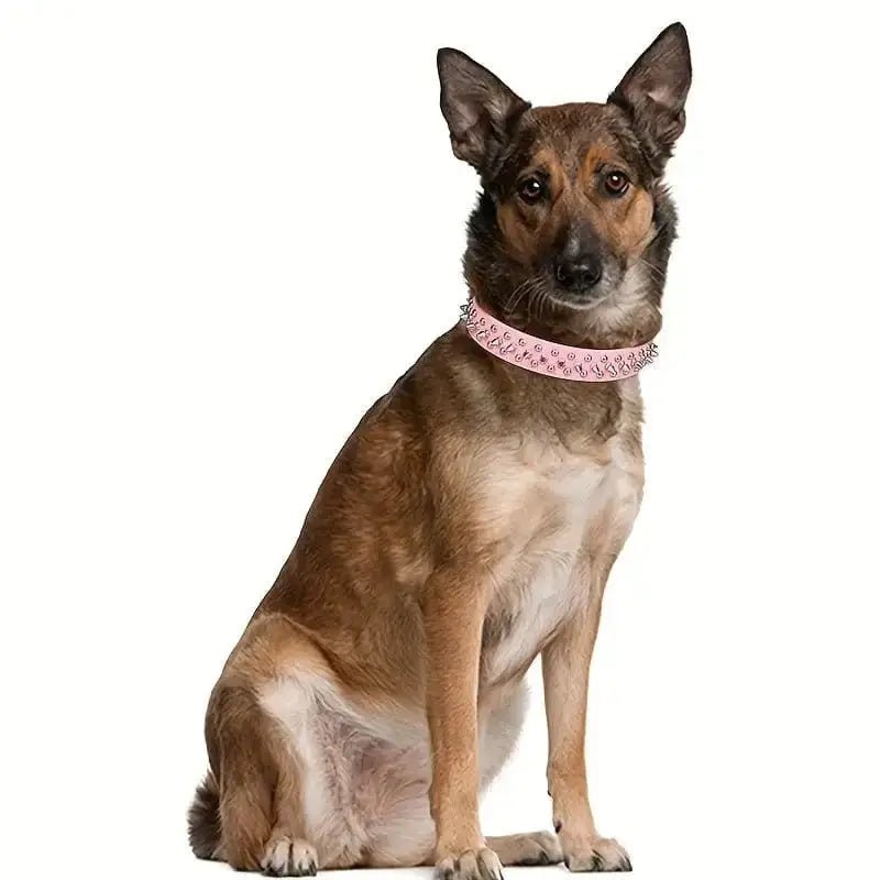 Sitting brown dog with pink collar wearing vintage style clouté collier à strass pour chien