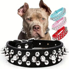 Collier en cuir clouté pour chien style vintage avec effet brillant, parfait comme collier tendance pour chien