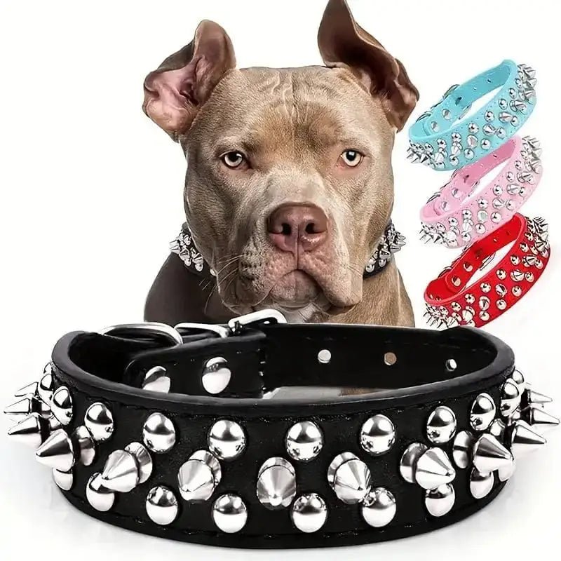 Collier en cuir clouté pour chien style vintage avec effet brillant, parfait comme collier tendance pour chien