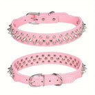 Collier cuir clouté pour chien style vintage avec eff et brillant, idéal pour petit chien