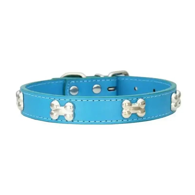 Collier chien avec motifs décoratifs en métal, turquoise, pour chien mignon et chic