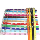 Collier chien avec motifs décoratifs en métal et studs os, pour petit chien élégant