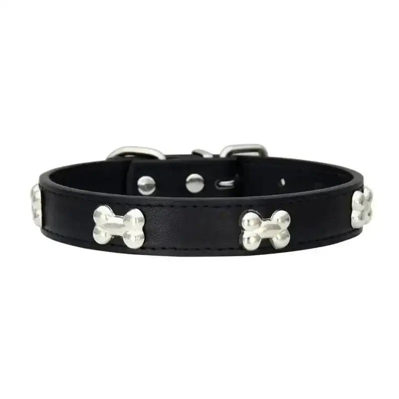 Collier pour chien en cuir avec motifs décoratifs en métal et accents en argent
