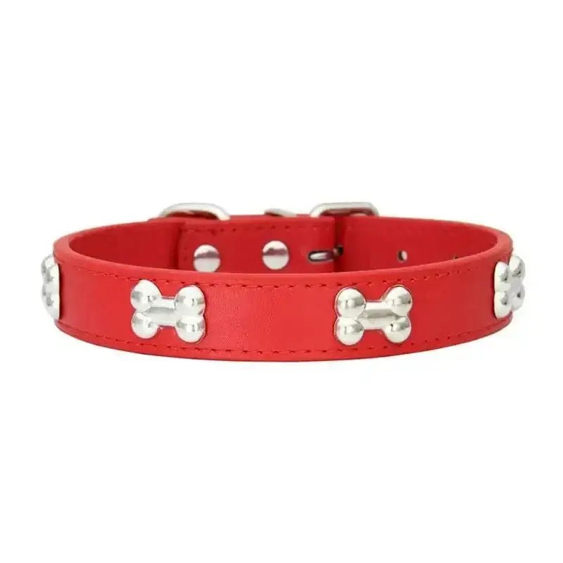 Collier cuir pour chien avec motifs décoratifs en métal et accents os, élégant et robuste