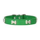 Collier chien avec motifs décoratifs en métal, vert et robuste pour petit chien élégant