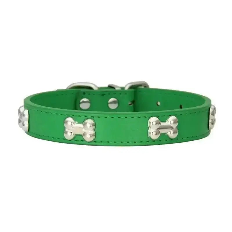 Collier chien avec motifs décoratifs en métal, vert et robuste pour petit chien élégant