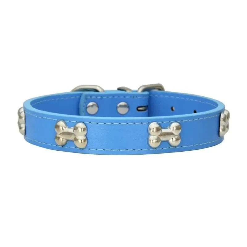 Collier en cuir bleu clair avec motifs os, résistant aux intempéries pour chiens adultes