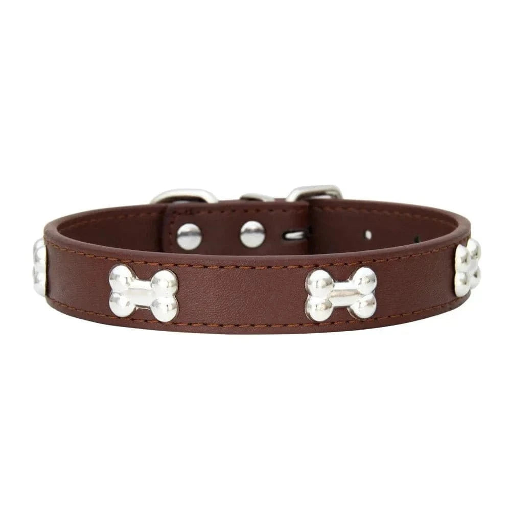 Collier en Cuir avec Motifs OS pour chiens adultes, résistant aux intempéries