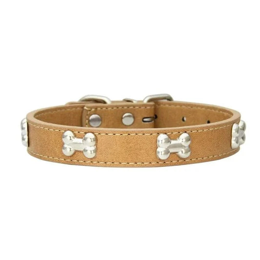 Collier en Cuir avec Motifs OS pour chiens adultes, résistant aux intempéries et chic