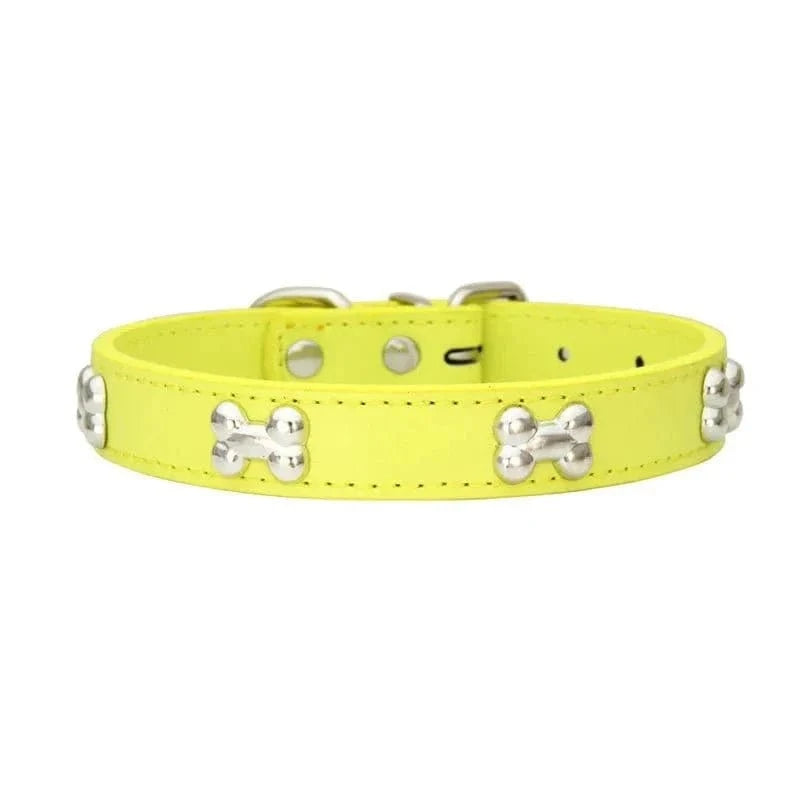 Collier en Cuir avec Motifs OS pour chiens adultes résistant aux intempéries