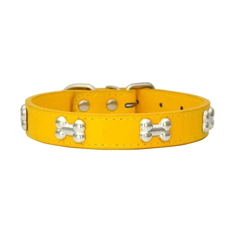 Collier en Cuir avec Motifs OS pour chiens adultes résistant aux intempéries
