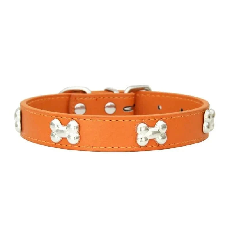 Collier en cuir orange avec motifs os, résistant aux intempéries pour chiens adultes