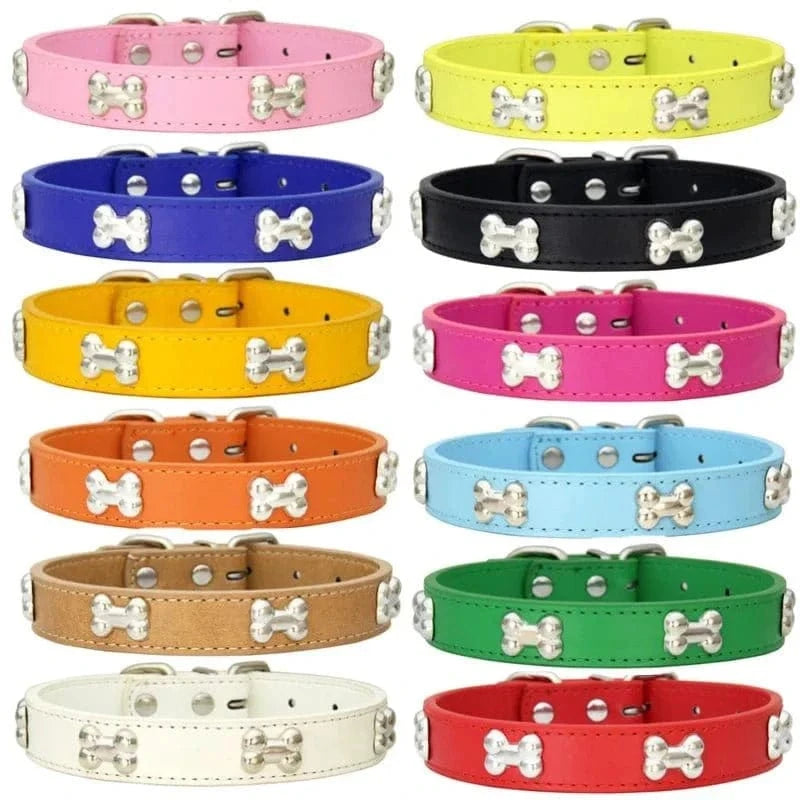 Collier en Cuir avec Motifs OS pour chiens adultes, résistant aux intempéries et coloré