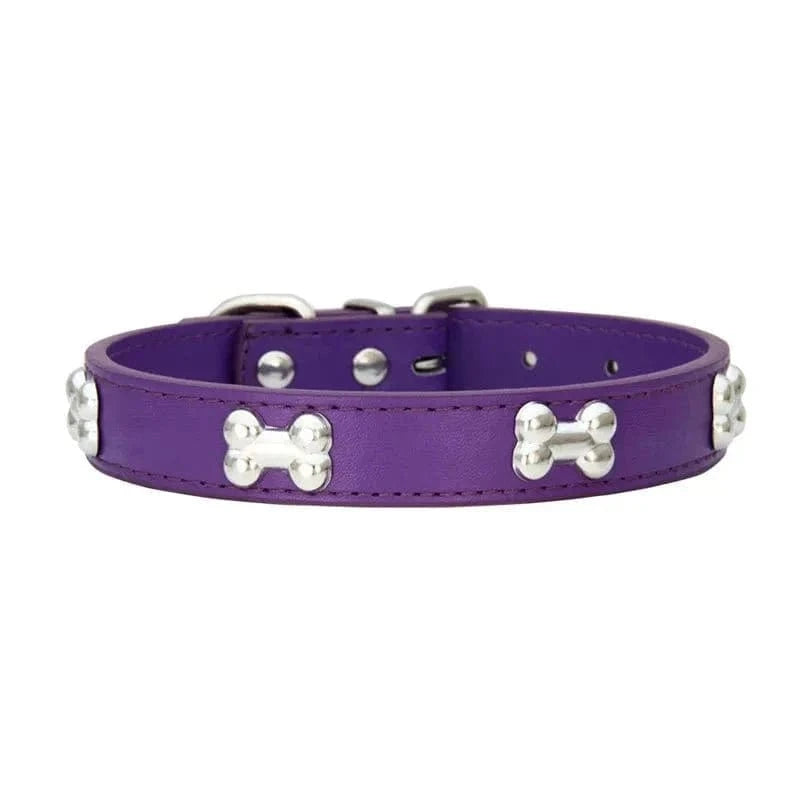 Collier en Cuir avec Motifs OS pour chiens adultes résistants aux intempéries