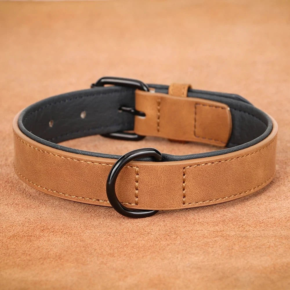 Collier en cuir Tan avec hardware noir, parfait pour un collier assure et rembourrage doux