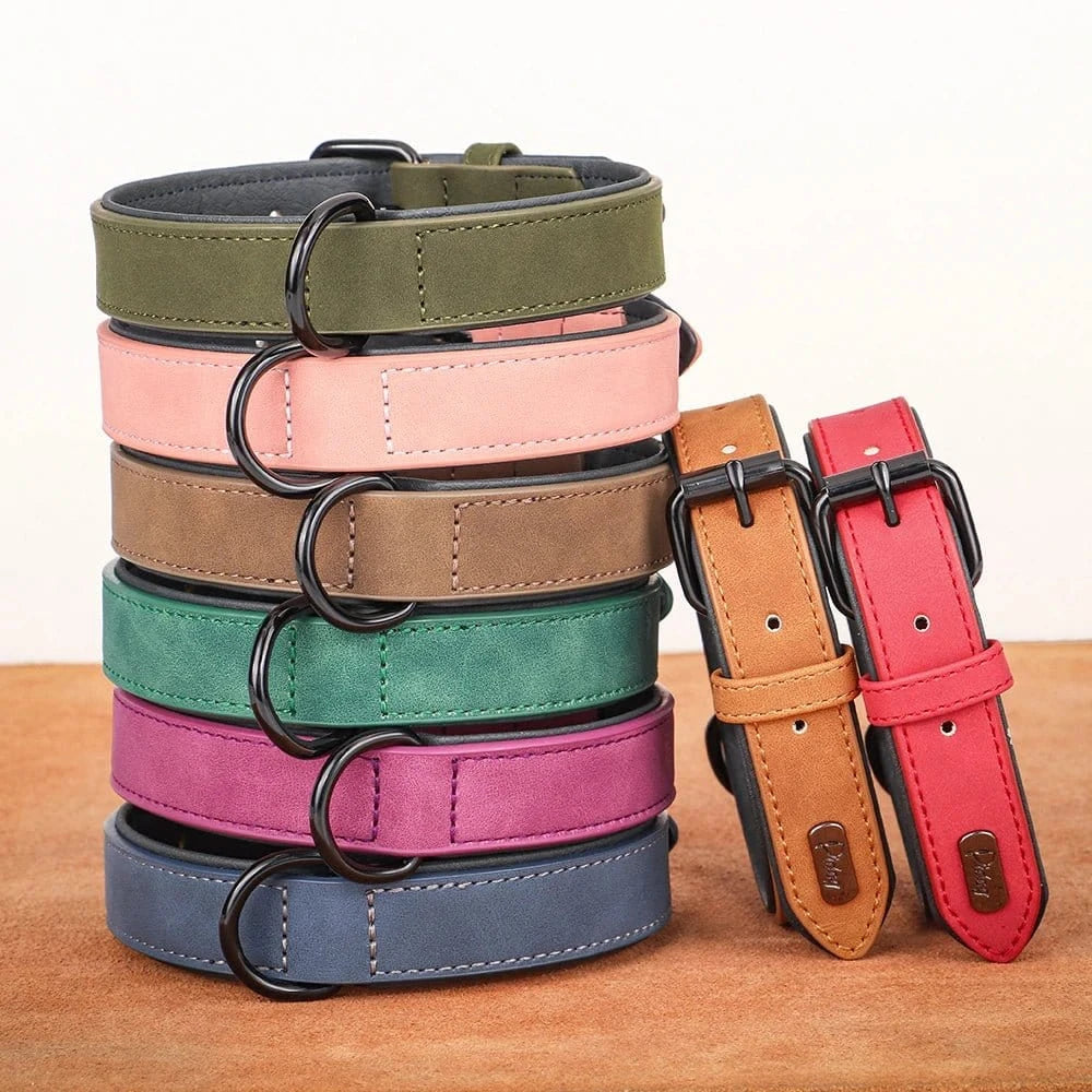 Stack de colliers colorés en cuir véritable, le collier assure et rembourrage doux