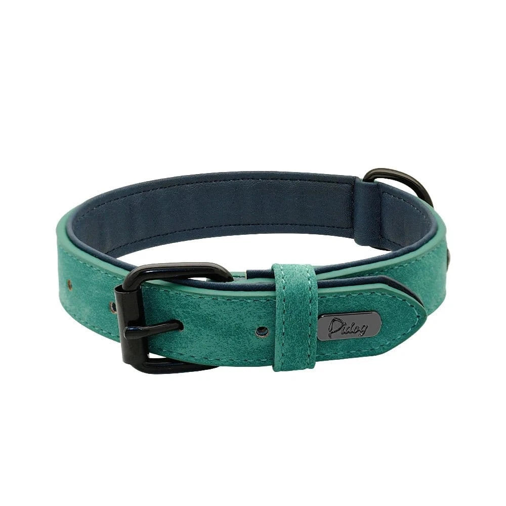 Collier assure en cuir véritable avec rembourrage doux et boucle noire, parfait pour votre chien