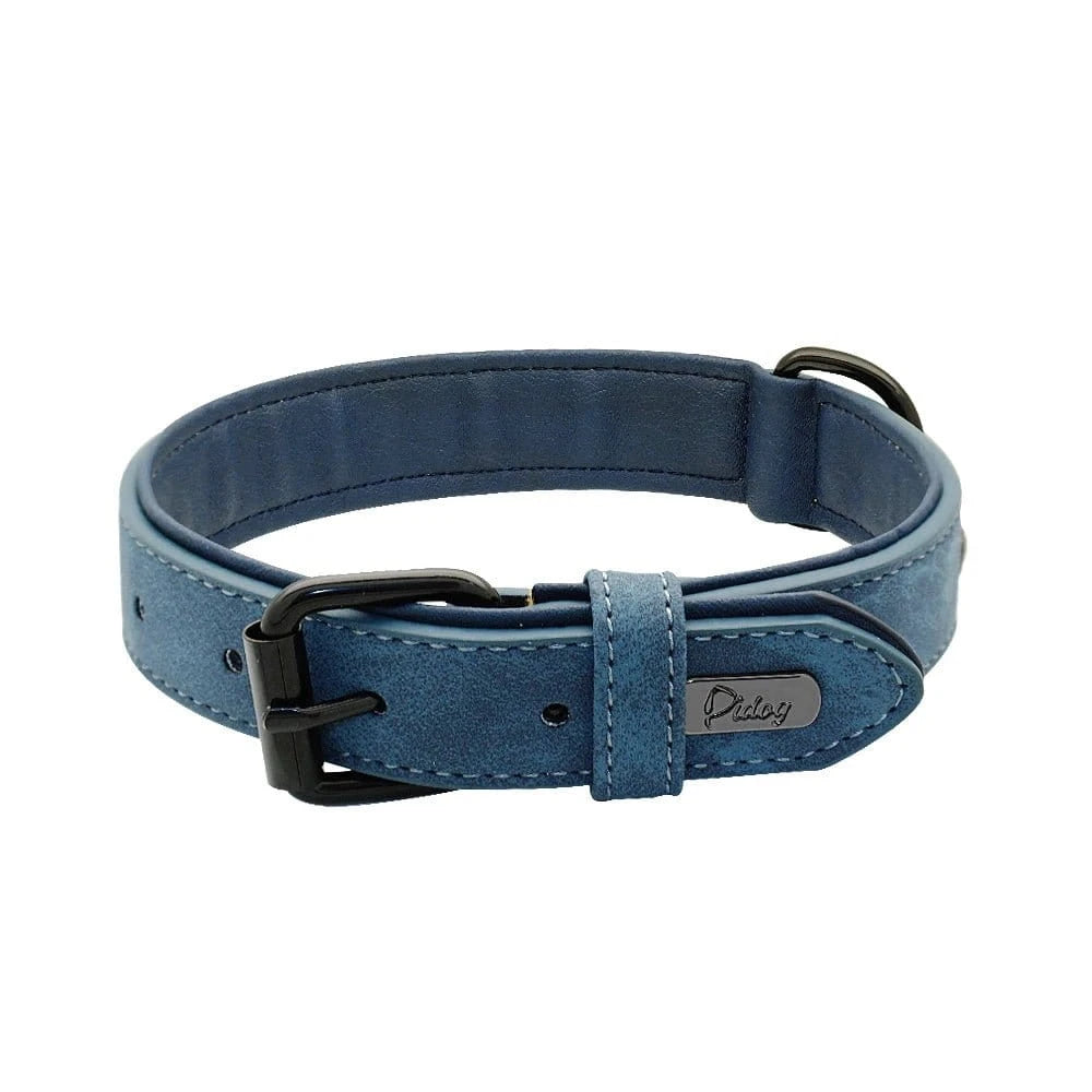 Collier en cuir bleu robuste avec rembourrage doux, parfait pour assurer votre chien