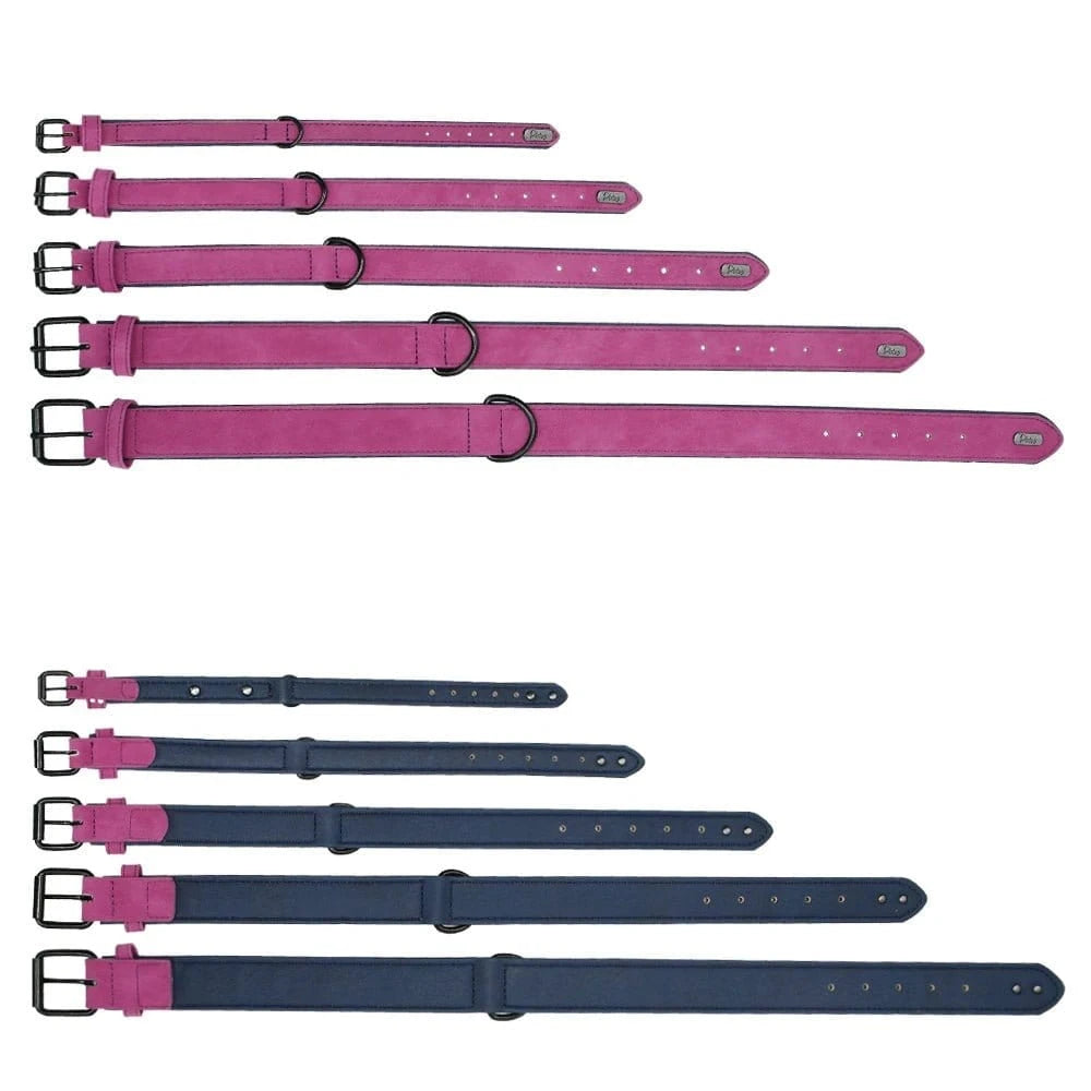 Assorted dog collars displayed on Collier Robuste en Cuir Véritable with collier assure