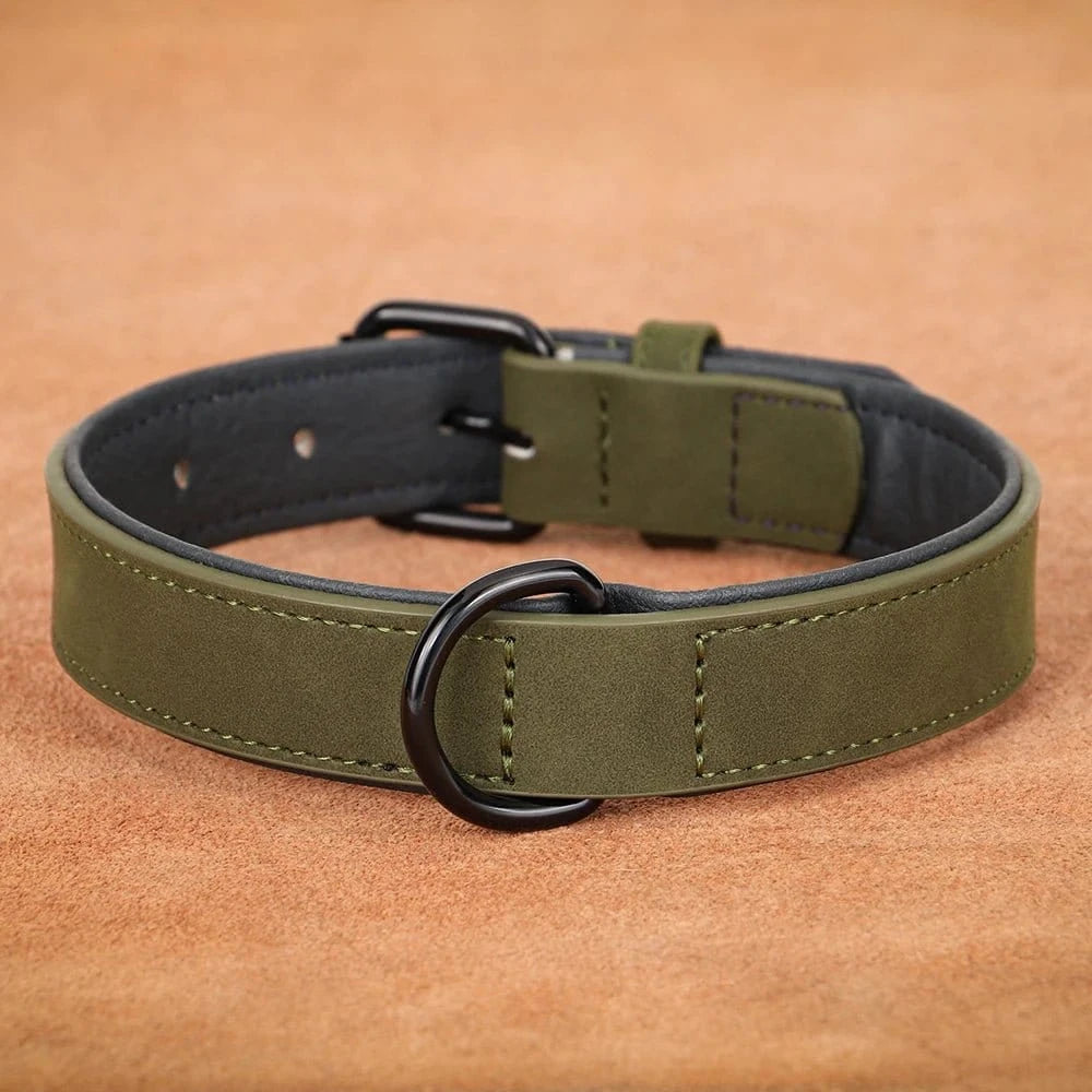 Collier robuste en cuir véritable olive green avec rembourrage doux, collier assure style