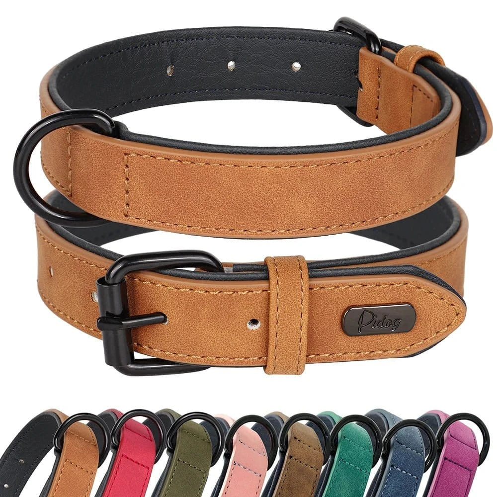 Collier robuste en cuir véritable avec rembourrage doux, idéal pour collier assure