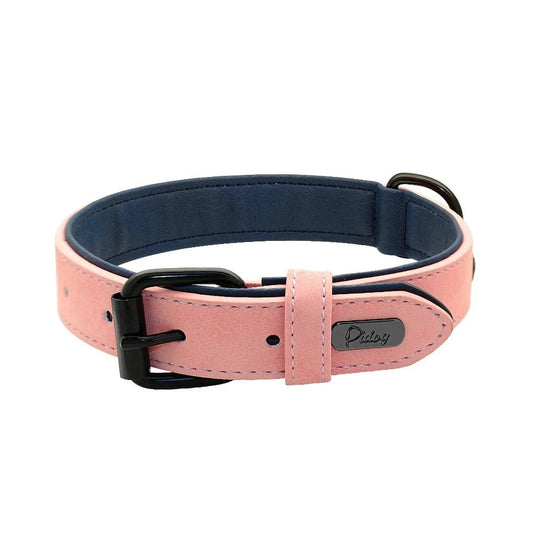 Collier robuste en cuir véritable Pink et navy avec rembourrage doux et hardware noir