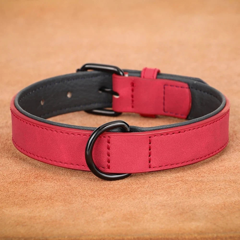 Collier en cuir rouge et noir avec rembourrage doux, idéal pour un collier assure