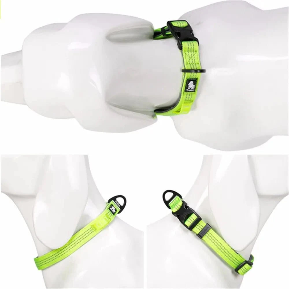 Lime green collier réfléchissant Truelove en nylon pour chien, sécurité et style