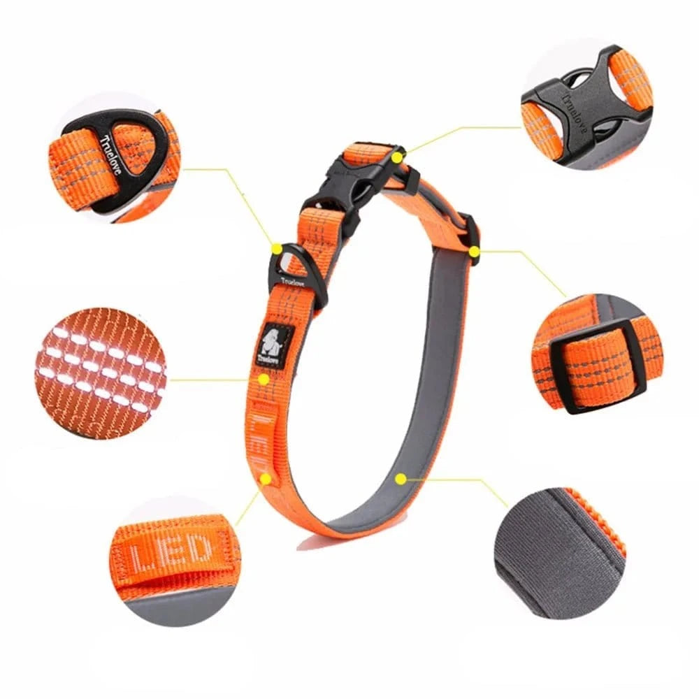 Collier réfléchissant Truelove en nylon orange avec accents réfléchissants pour chien