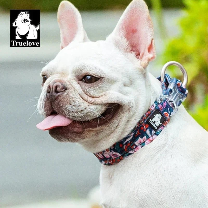 Collier floral en alliage d’aluminium Boucle duraflex ultra-résistante pour chien blanc French Bulldog