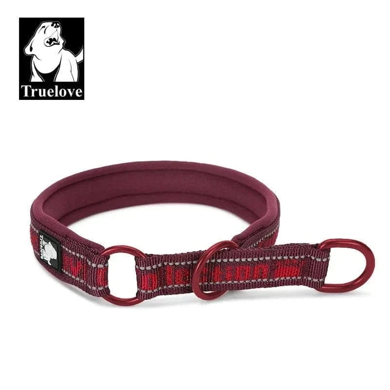 Collier marquage Truelove en nylon rembourré avec boucle métallique, réfléchant et en néoprène SBR pour chiens xxs à xxxl