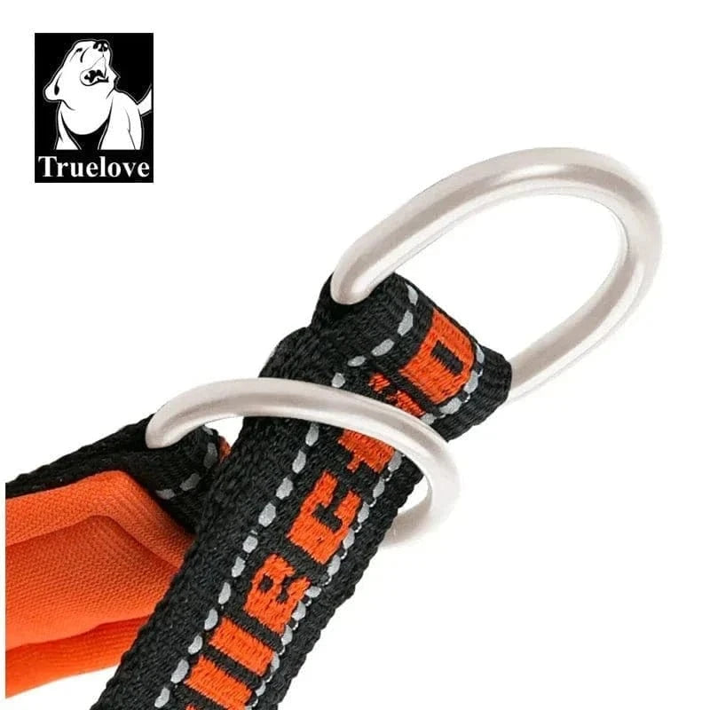 Collier Marquage Truelove en Nylon Rembourré avec anneaux métal pour chien reflex et néoprène SBR
