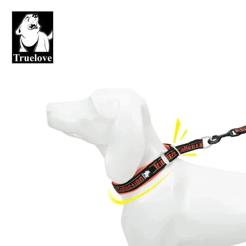 Collier Marquage Truelove en Nylon Rembourré avec leash, adapté du xxS au xxxL, réfléchissant néoprène sbr