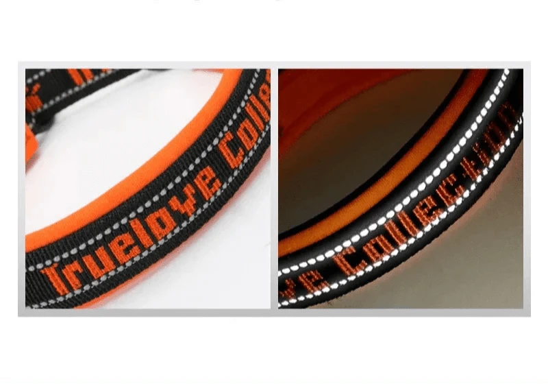 Collier marquage Truelove en nylon rembourré avec côté réfléchissant, parfait pour tous les chiens XXS à XXXL