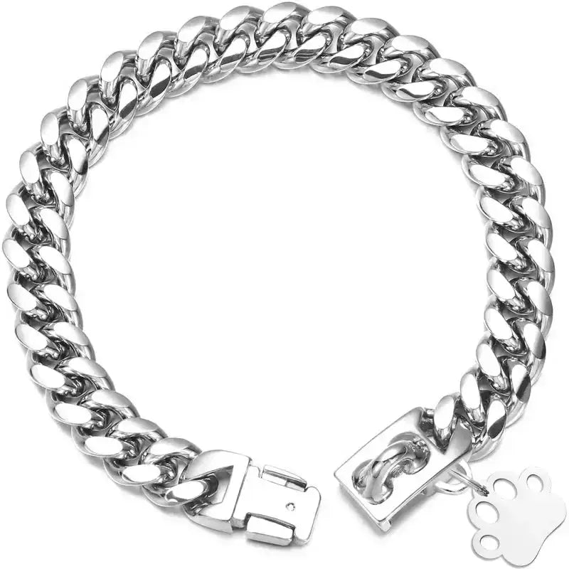 Collier inox pour chien avec attache rapide et charme patte, accessoires pour chien