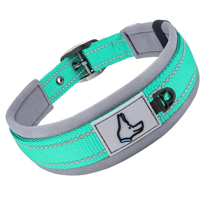 Collier réfléchissant en nylon - Turquoise - S